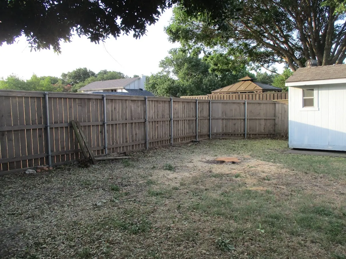 Cleared yard after professional tree removal in Whitleyville